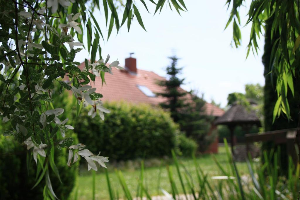 Landhotel Zur Schmiede Ґерен-Леббін Екстер'єр фото