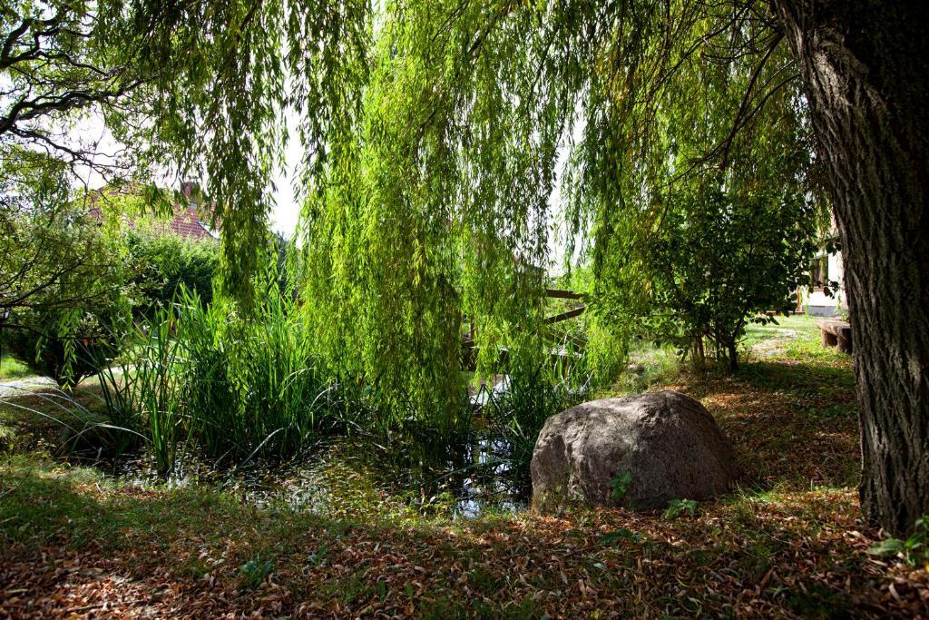Landhotel Zur Schmiede Ґерен-Леббін Екстер'єр фото